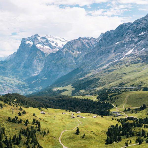 Rétrospective Journée de l'environnement